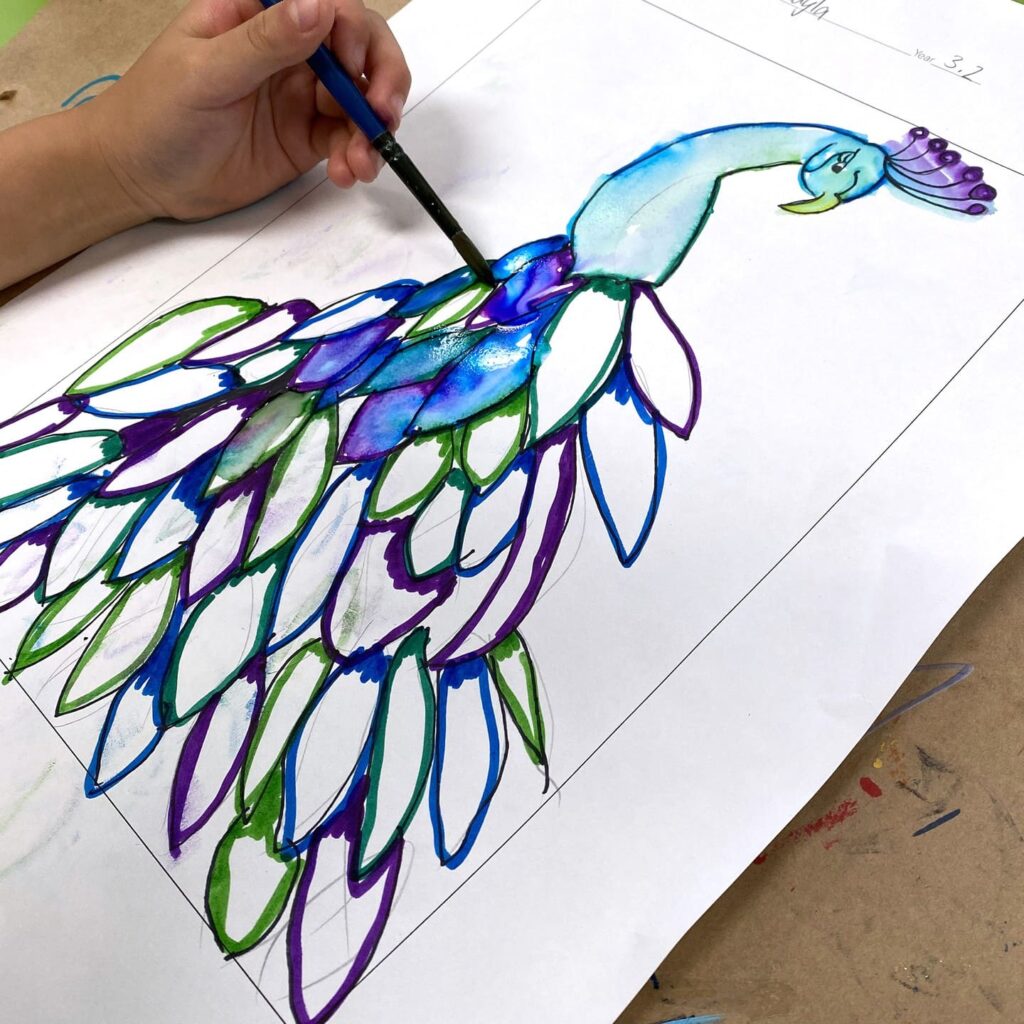 Majestic Peacock Study