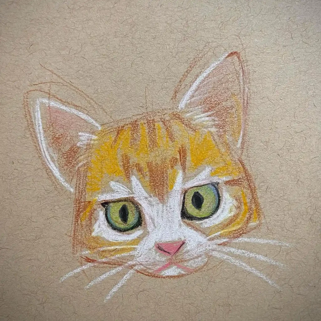 Cat Drawings