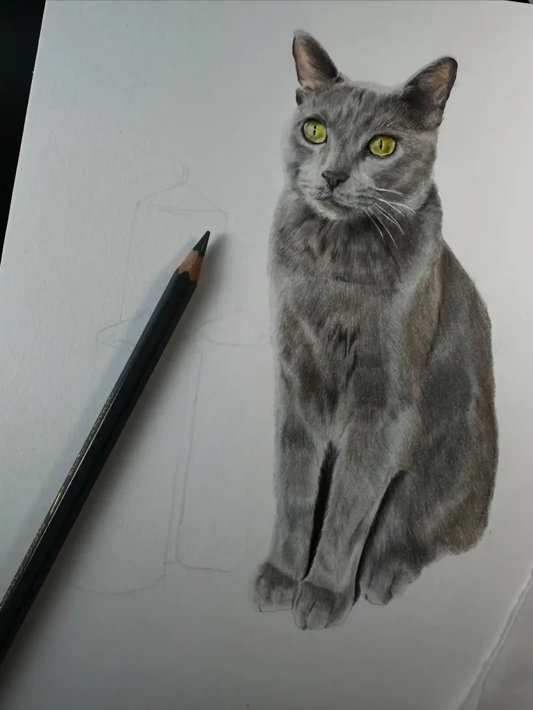 Cat Drawings