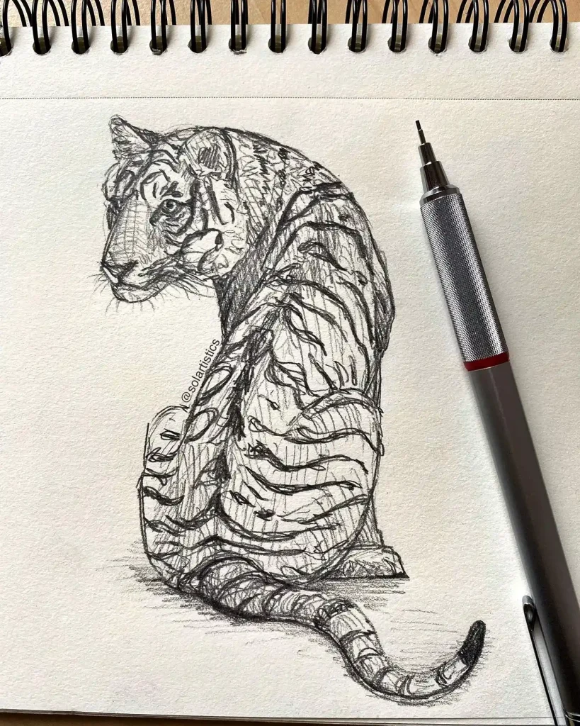 Tiger Drawing