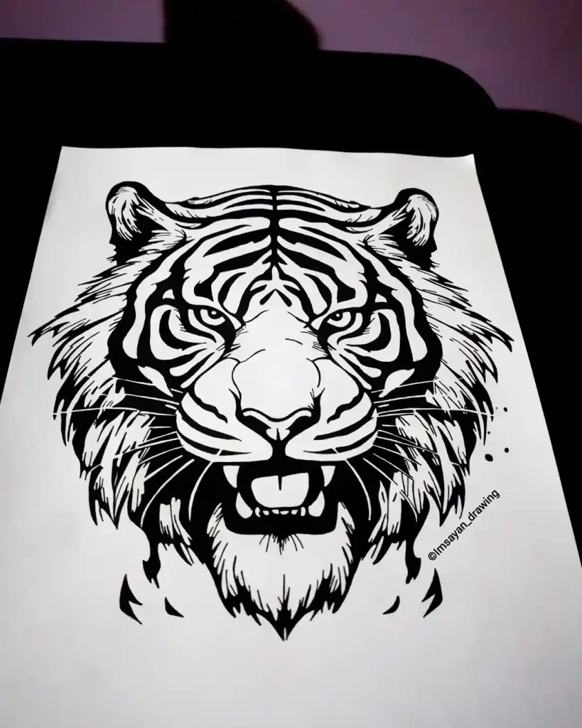 Tiger Drawing