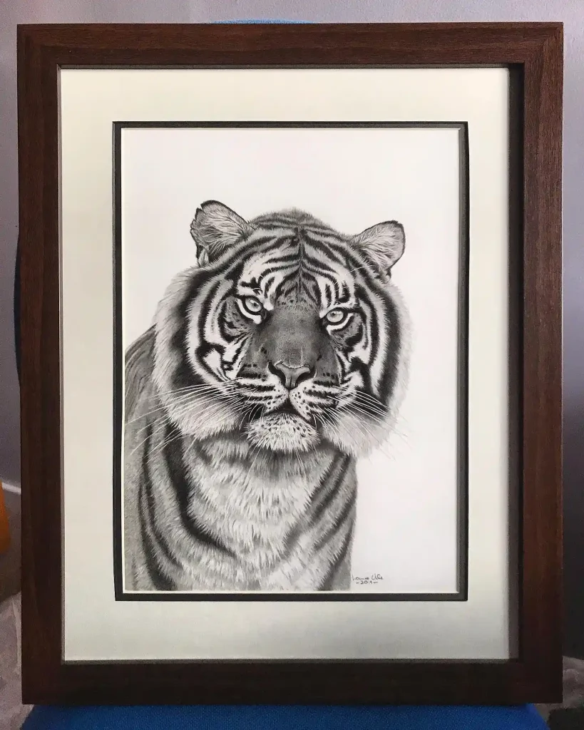 Tiger Drawing