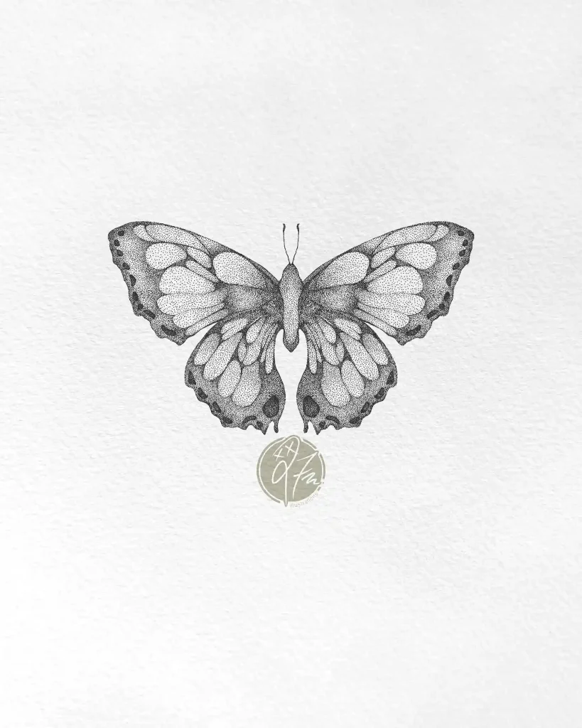 Butterfly Drawings