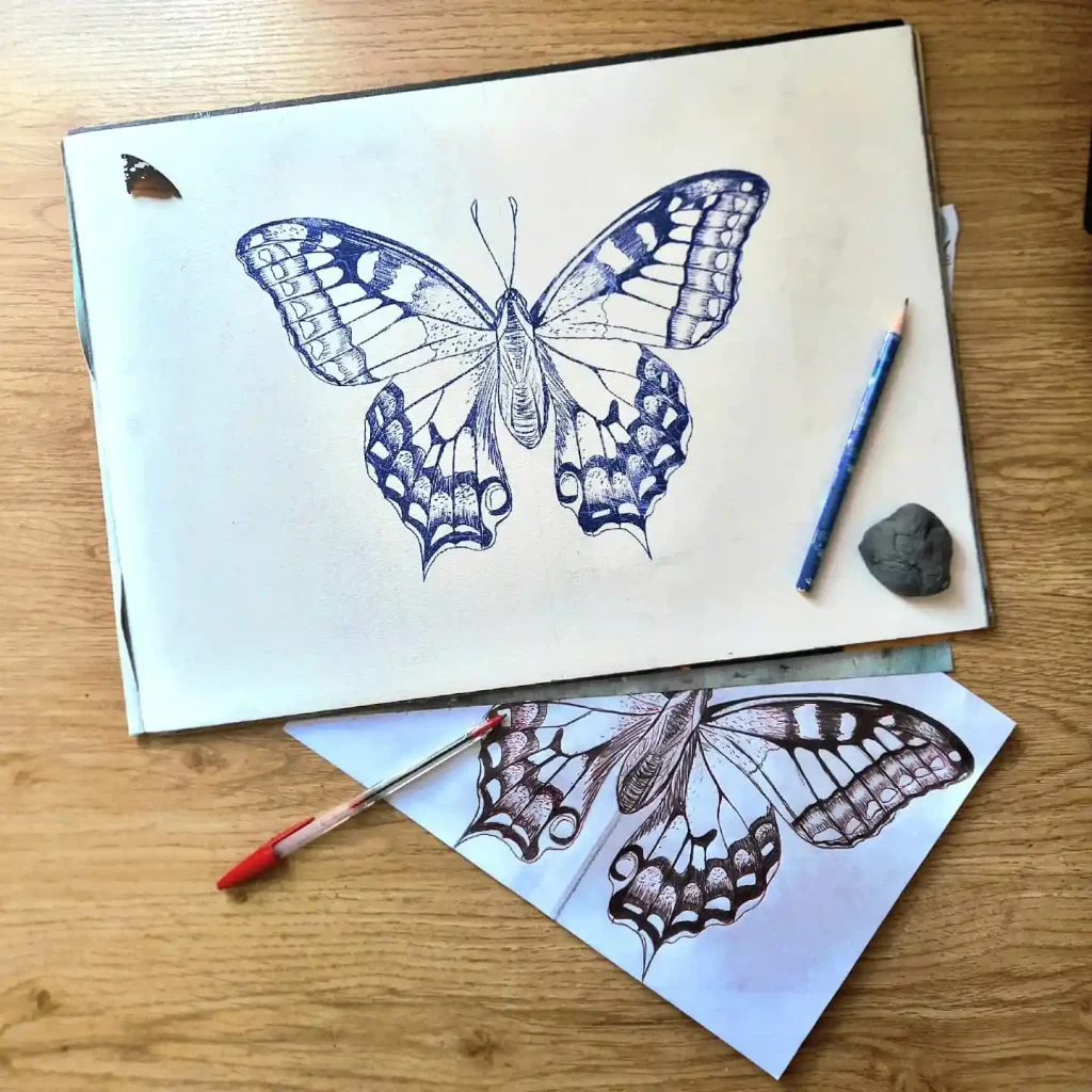 Butterfly Drawings