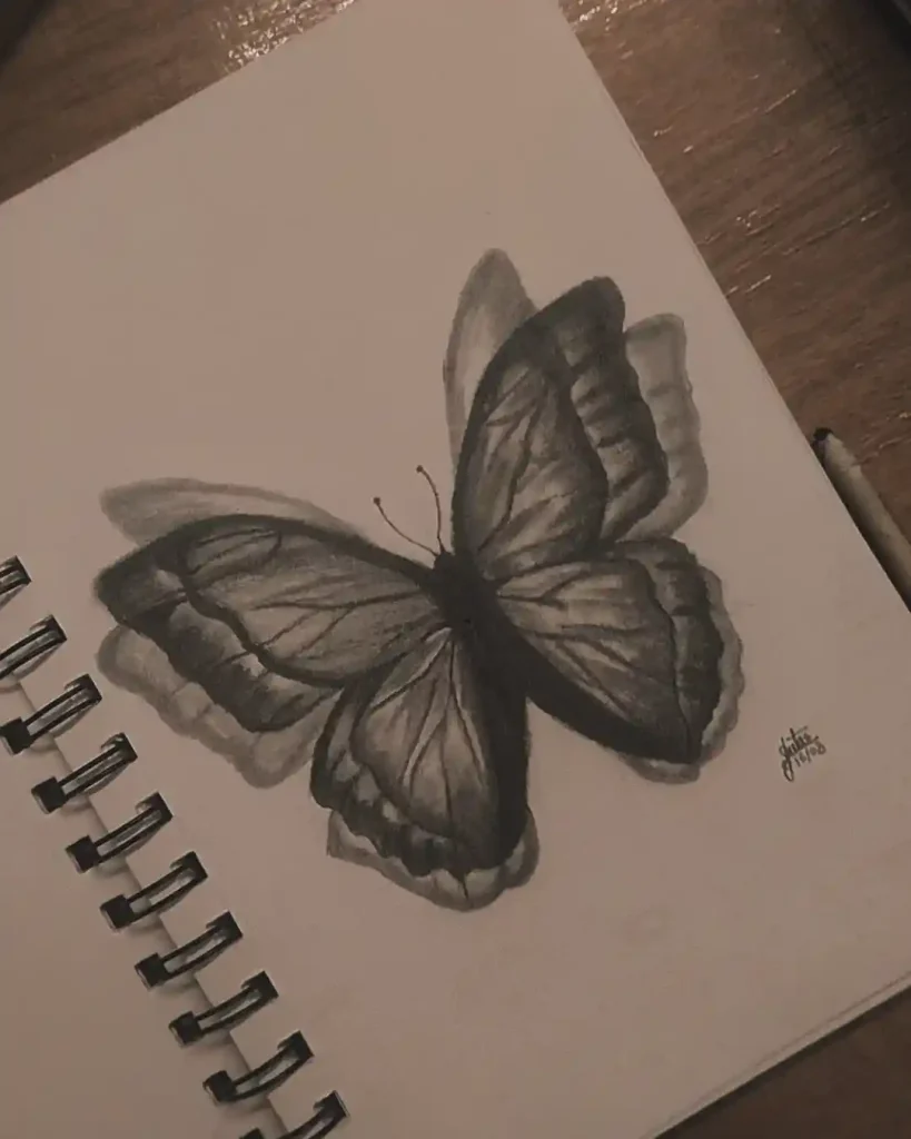 Butterfly Drawings