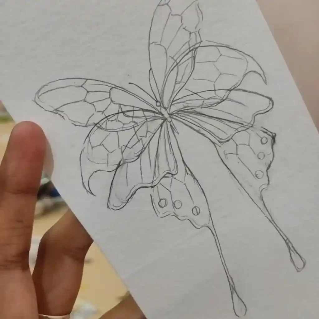 Butterfly Drawings