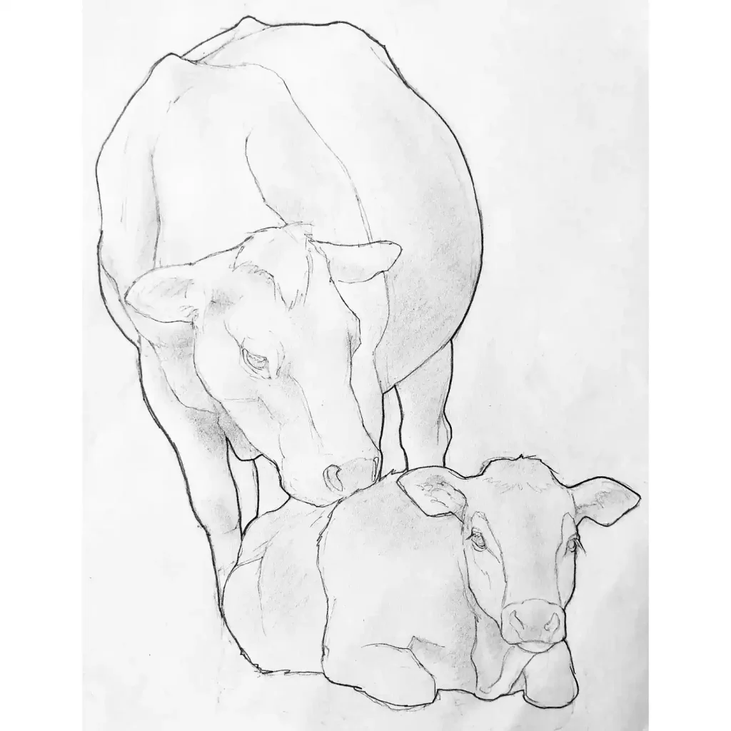 Cow Drawing