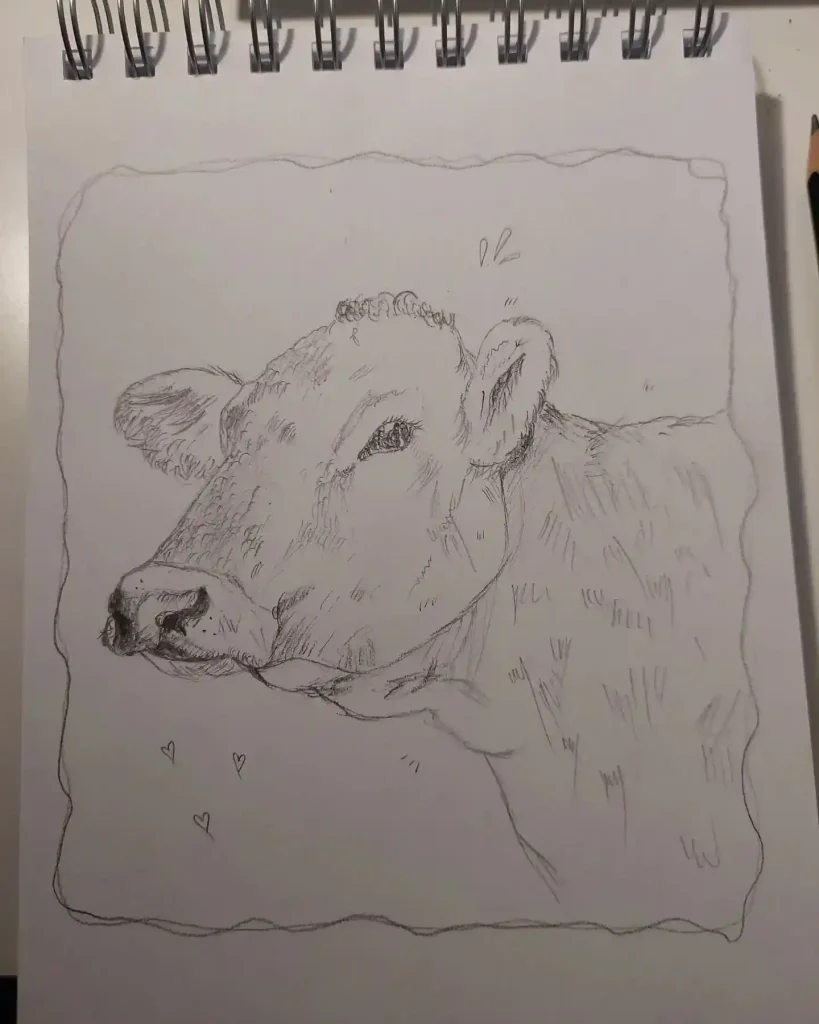 Cow Drawing