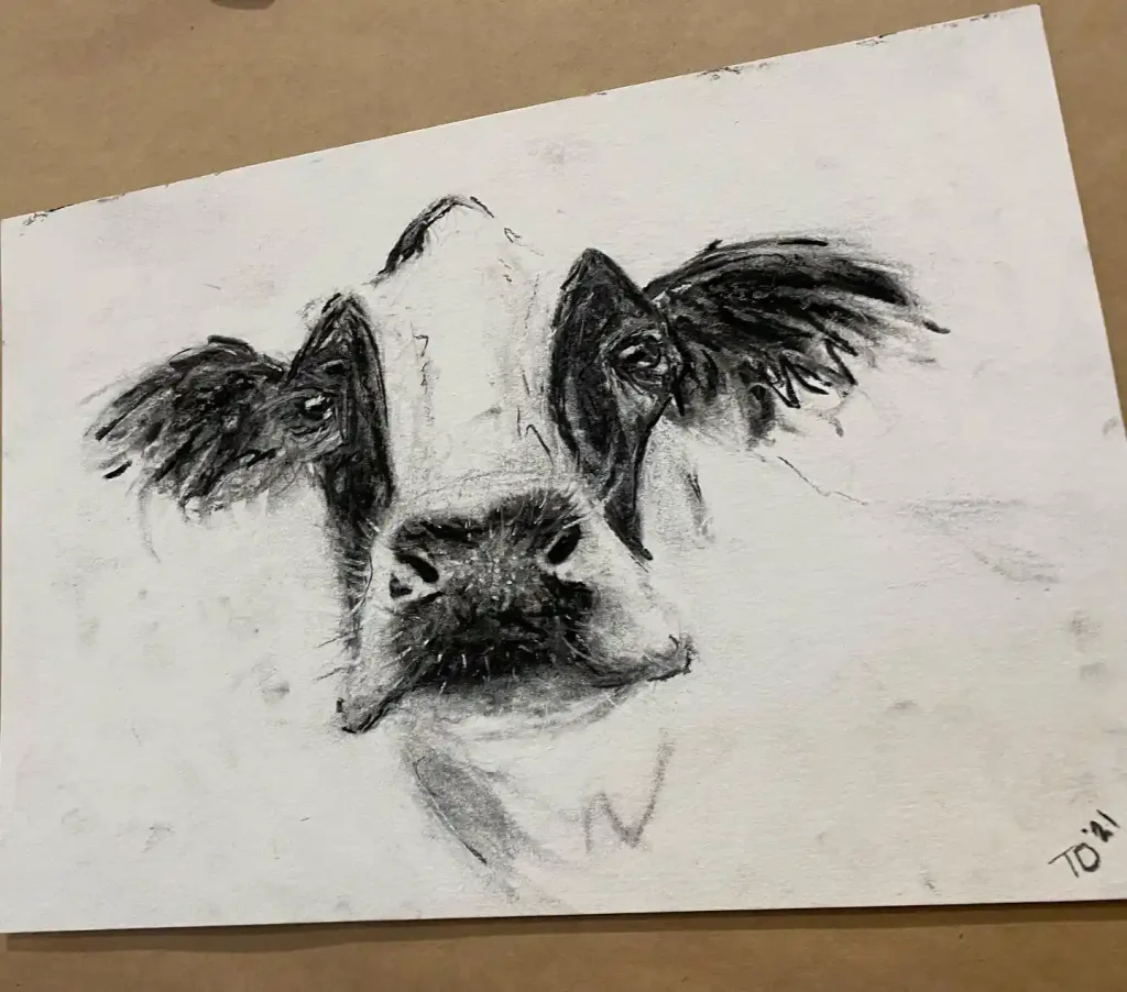 Cow Drawing
