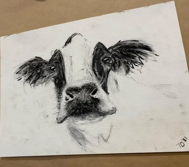 cow drawing (5)