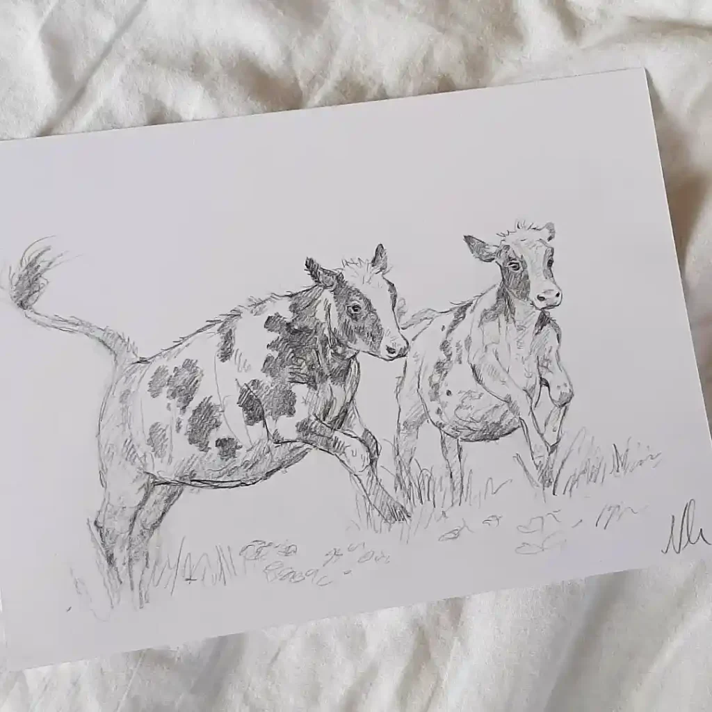 Cow Drawing