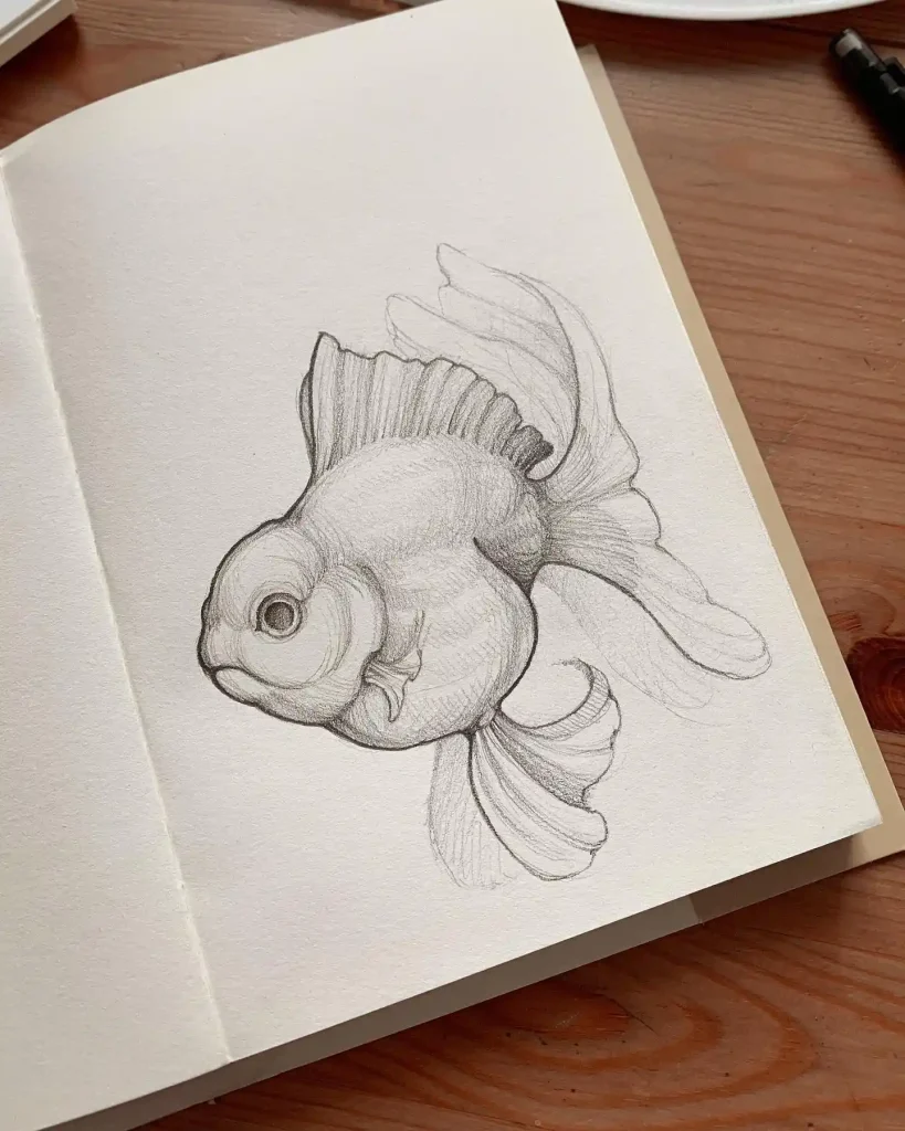 Fish Drawing