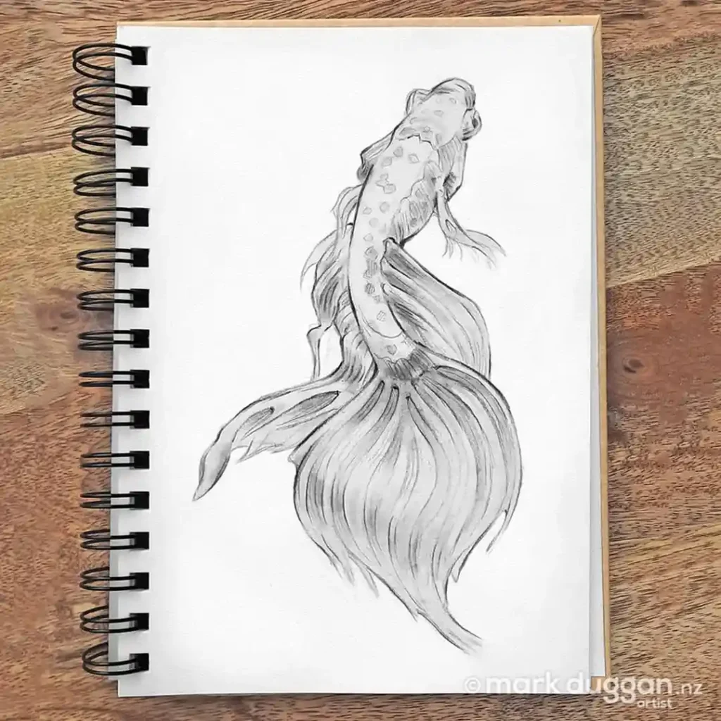 Fish Drawing