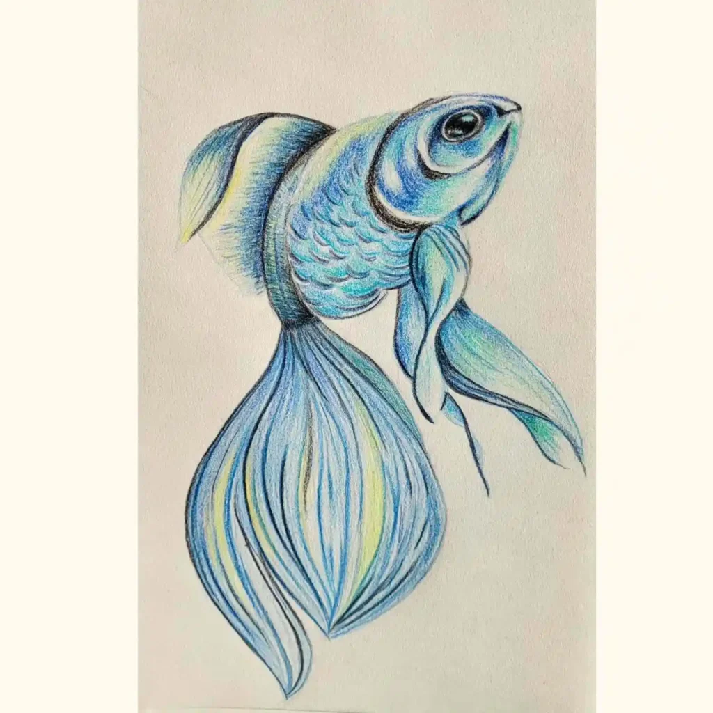 Fish Drawing