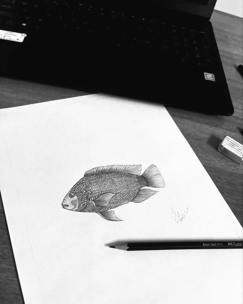Fish Drawing