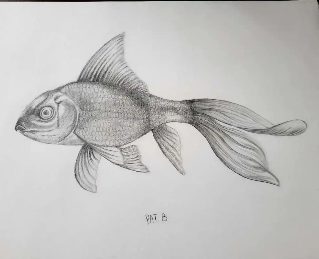 Fish Drawing