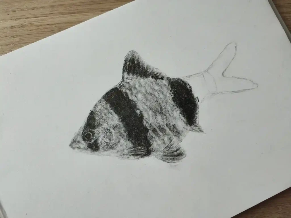 Fish Drawing