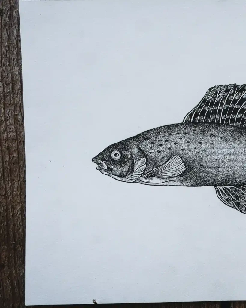 Fish Drawing