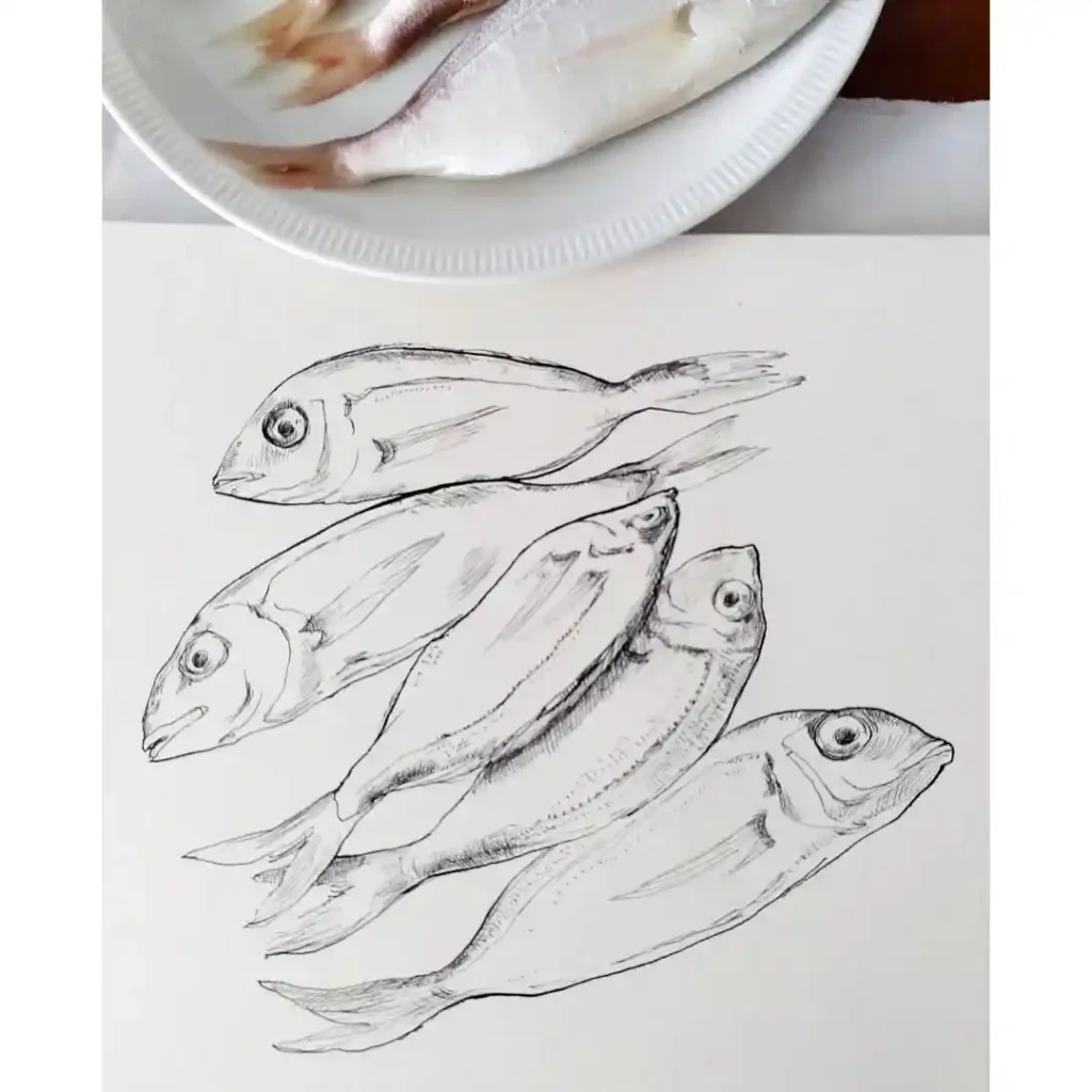 Fish Drawing