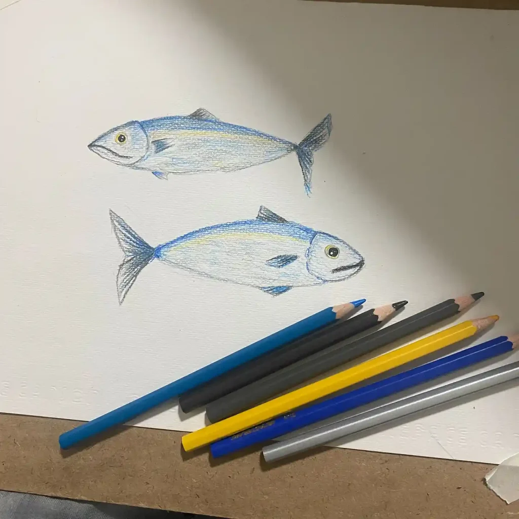 Fish Drawing