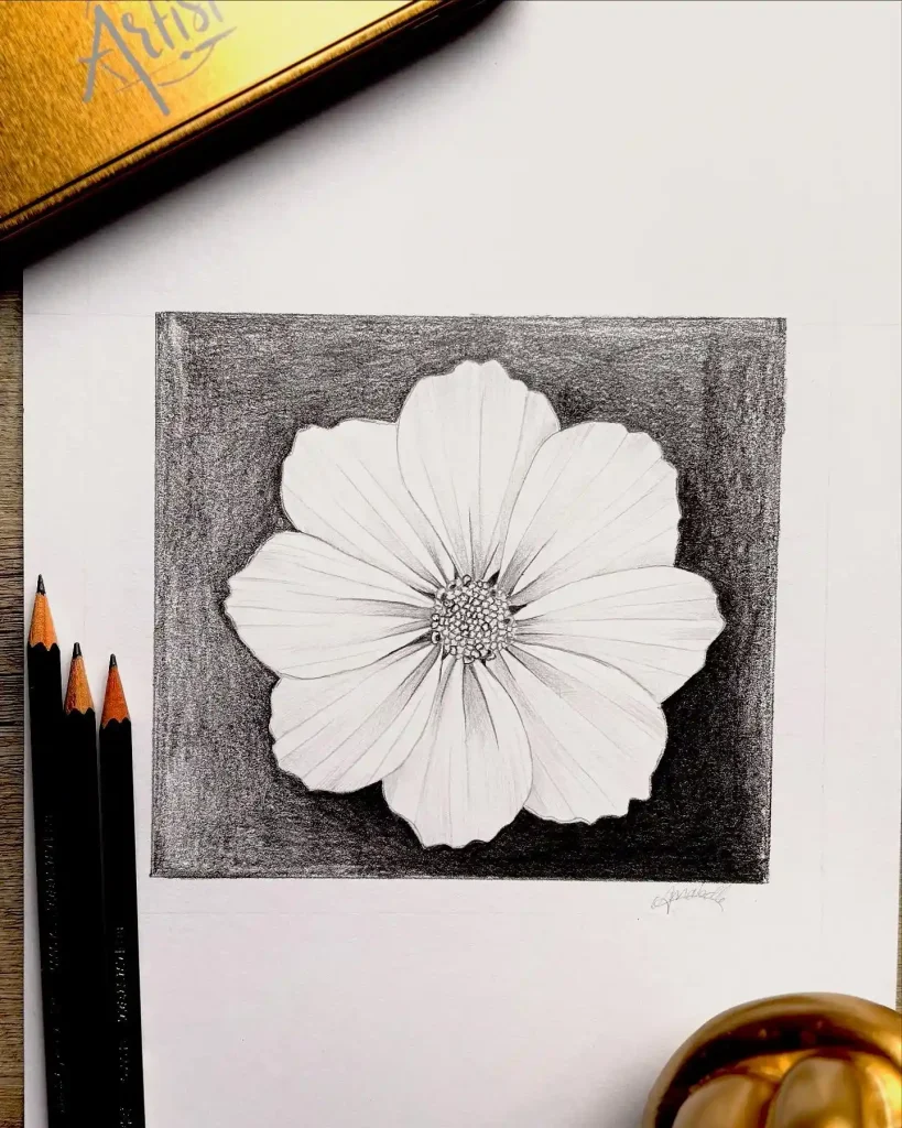 Flower Drawing Ideas