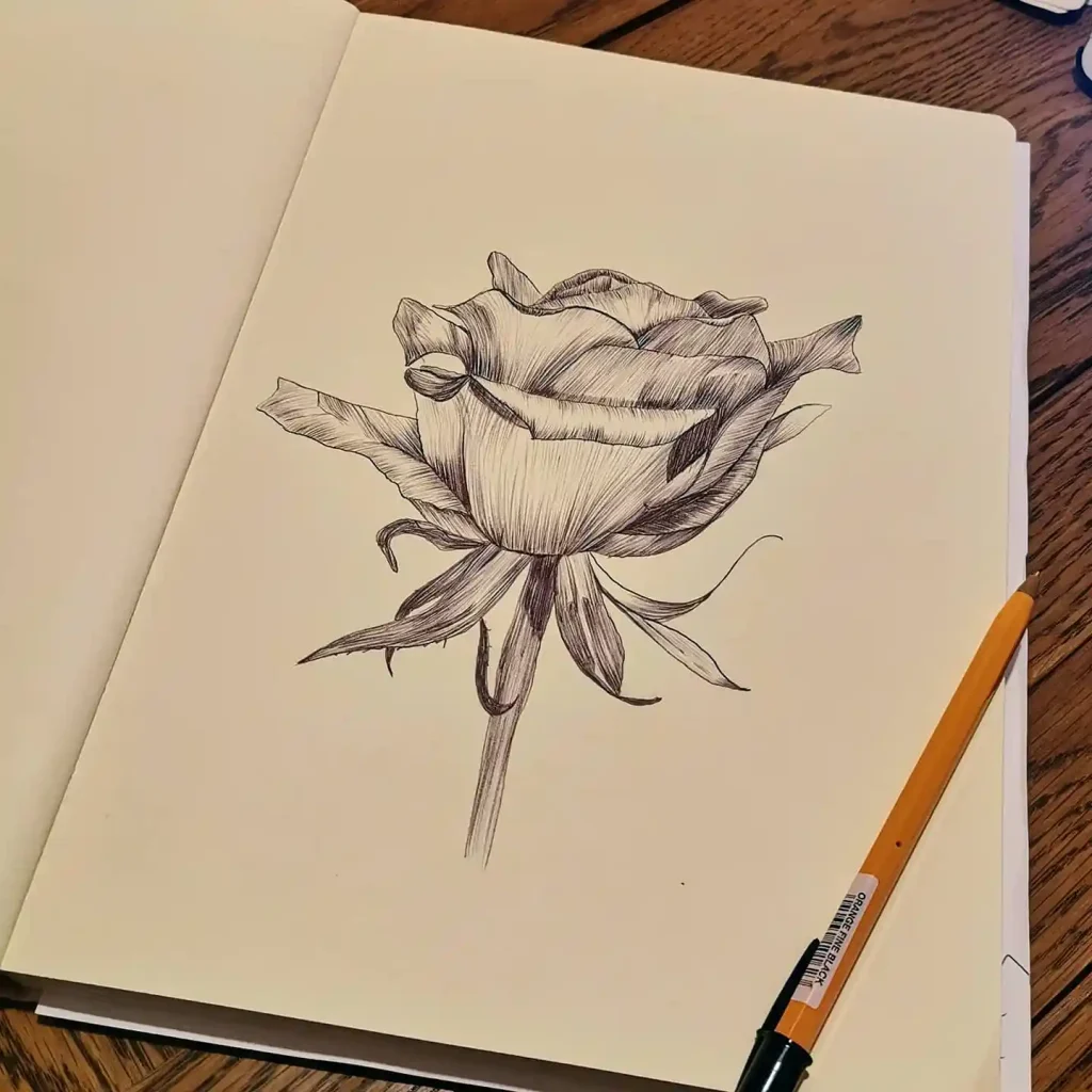 Flower Drawing Ideas