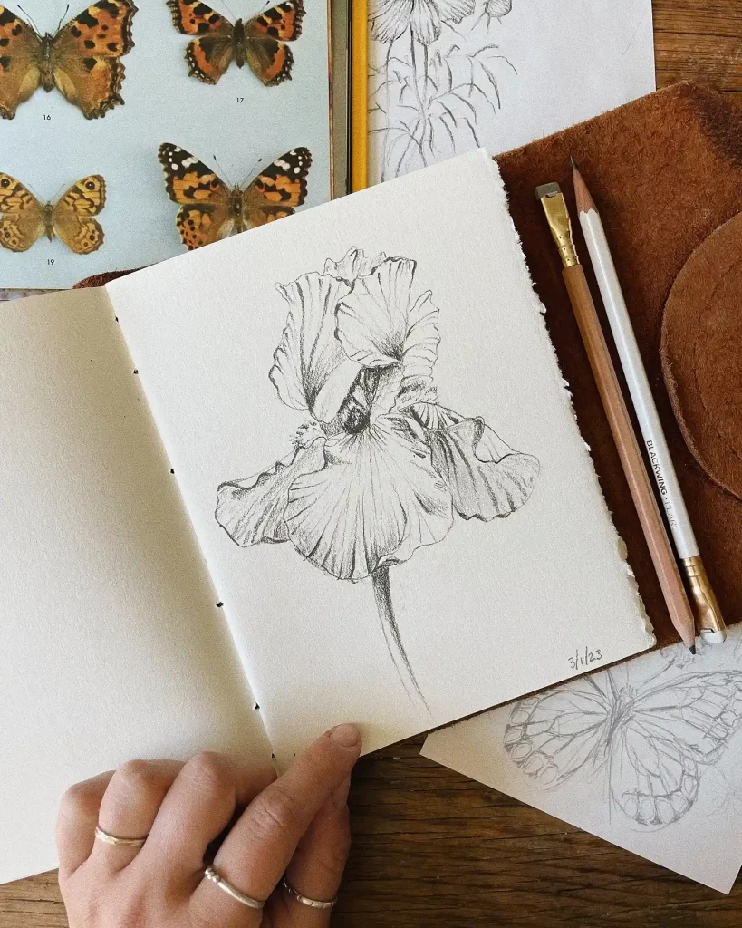 Flower Drawing Ideas