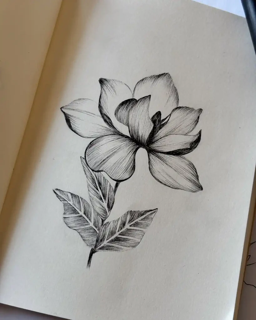 Flower Drawing Ideas