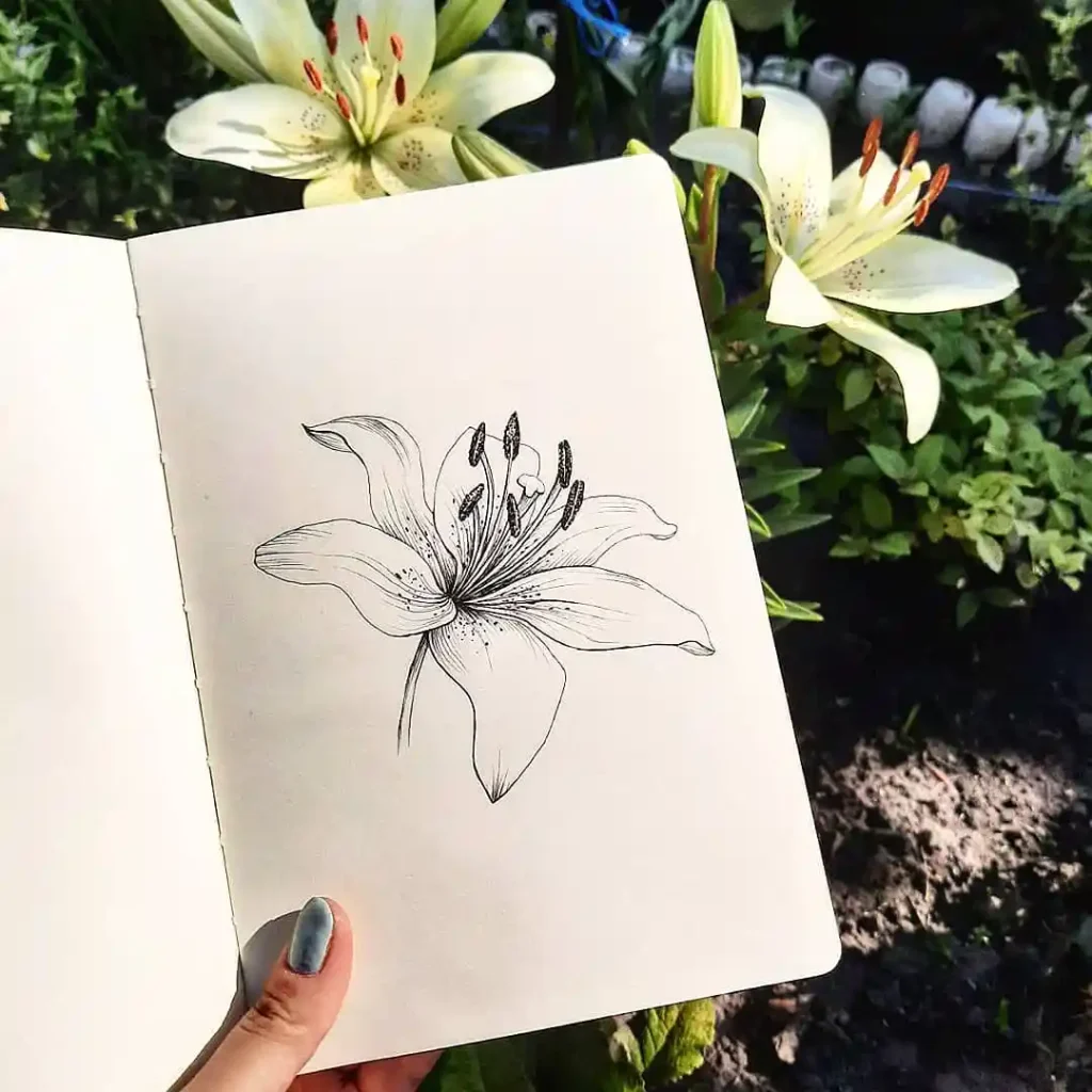 Flower Drawing Ideas