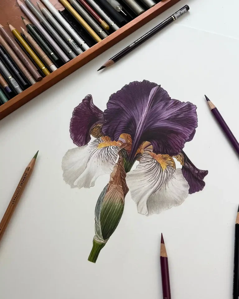 flower drawing ideas (22)