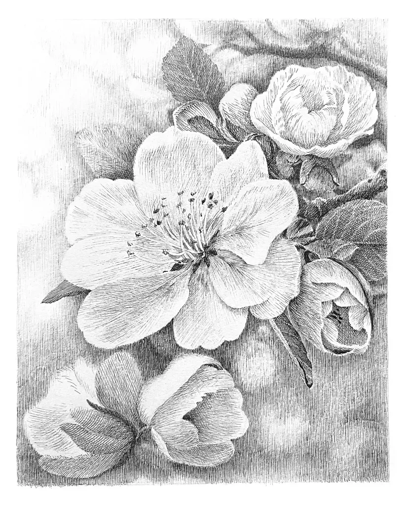 Flower Drawing Ideas