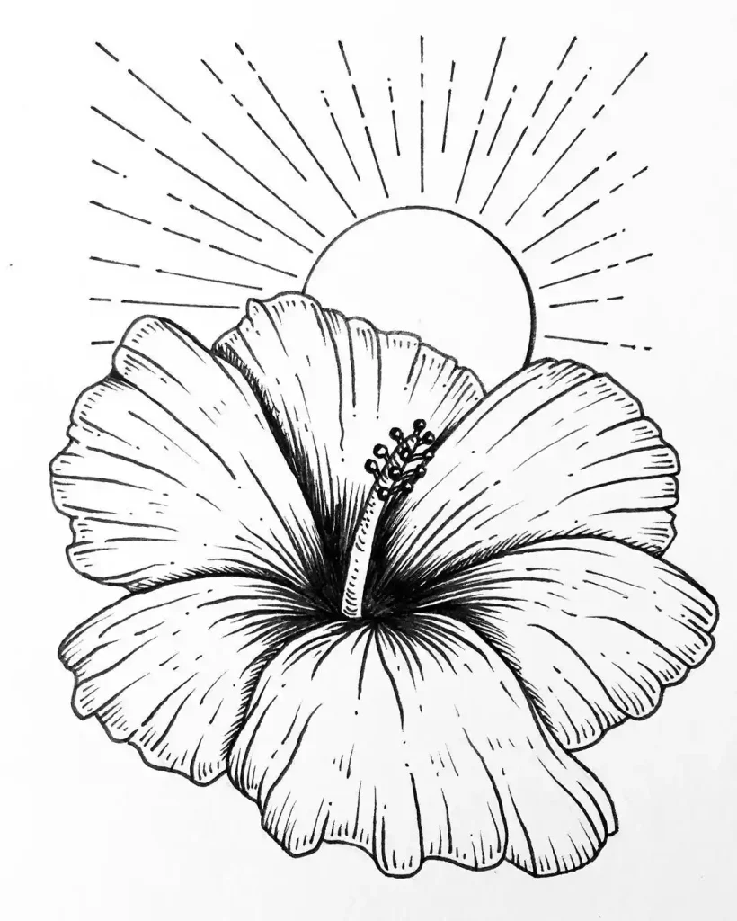 Flower Drawing Ideas