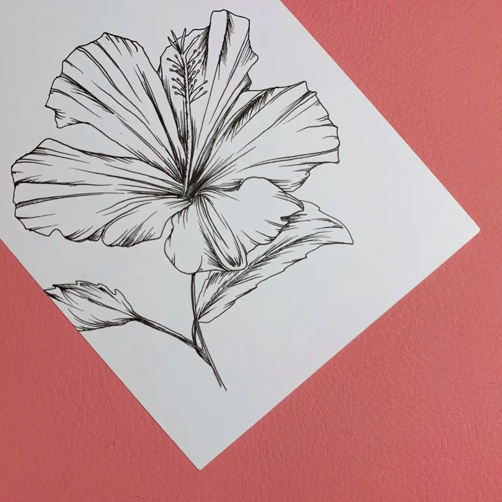 Flower Drawing Ideas