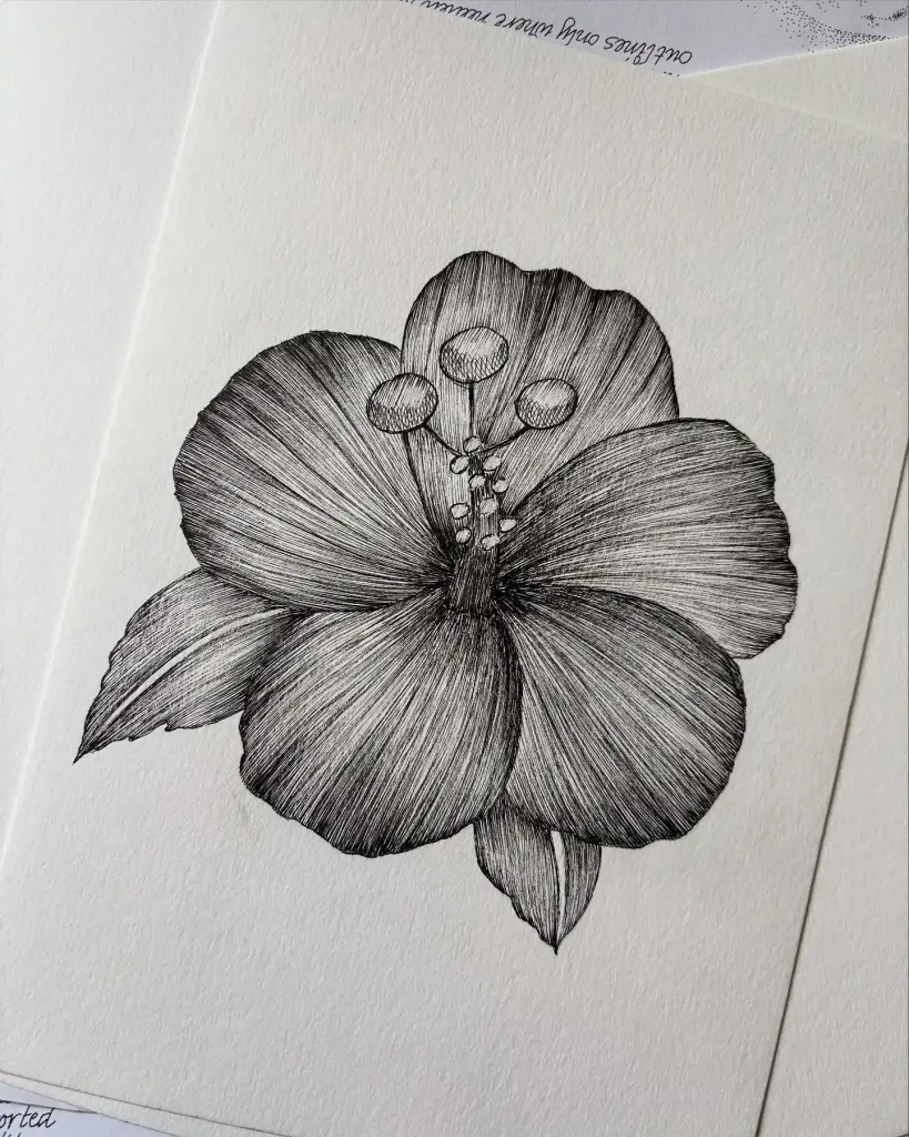 Flower Drawing Ideas