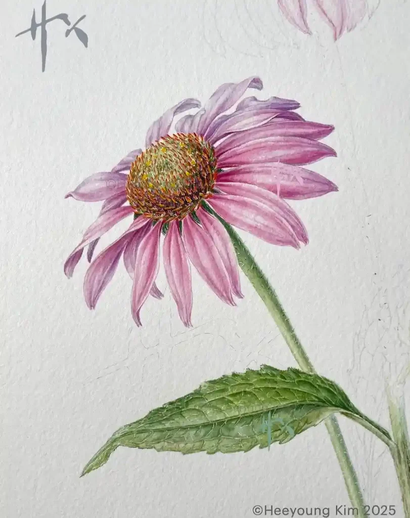 Flower Drawing Ideas