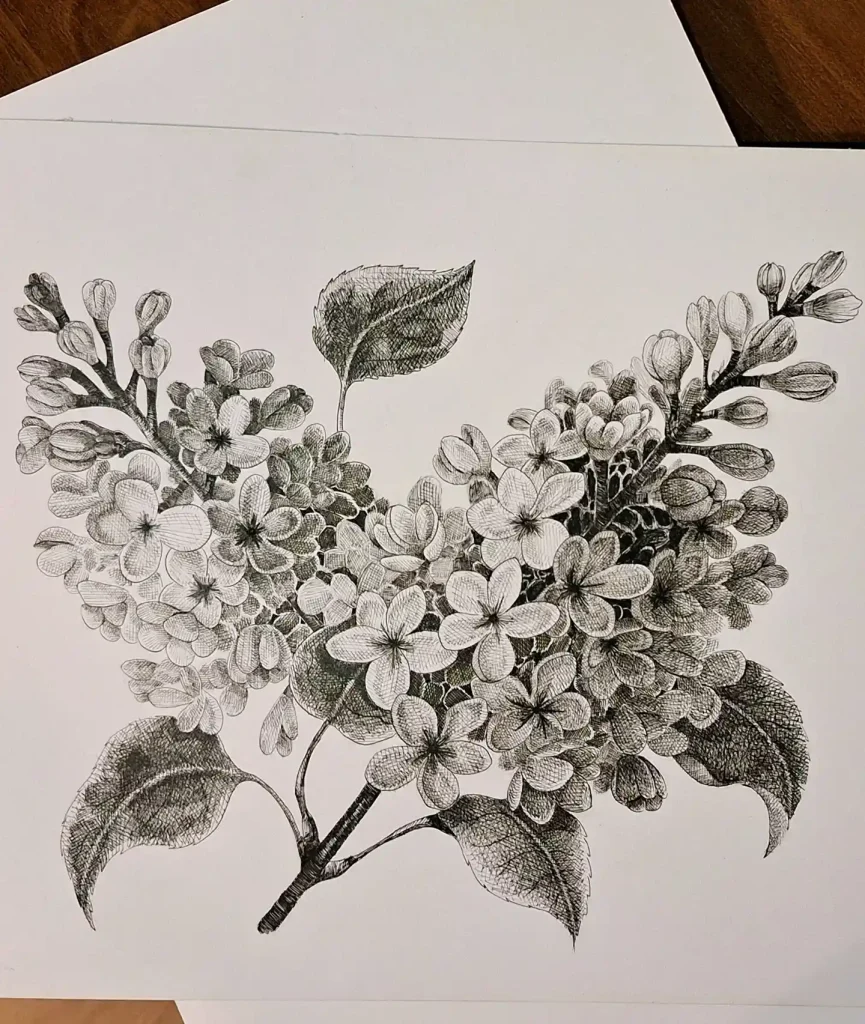 Flower Drawing Ideas