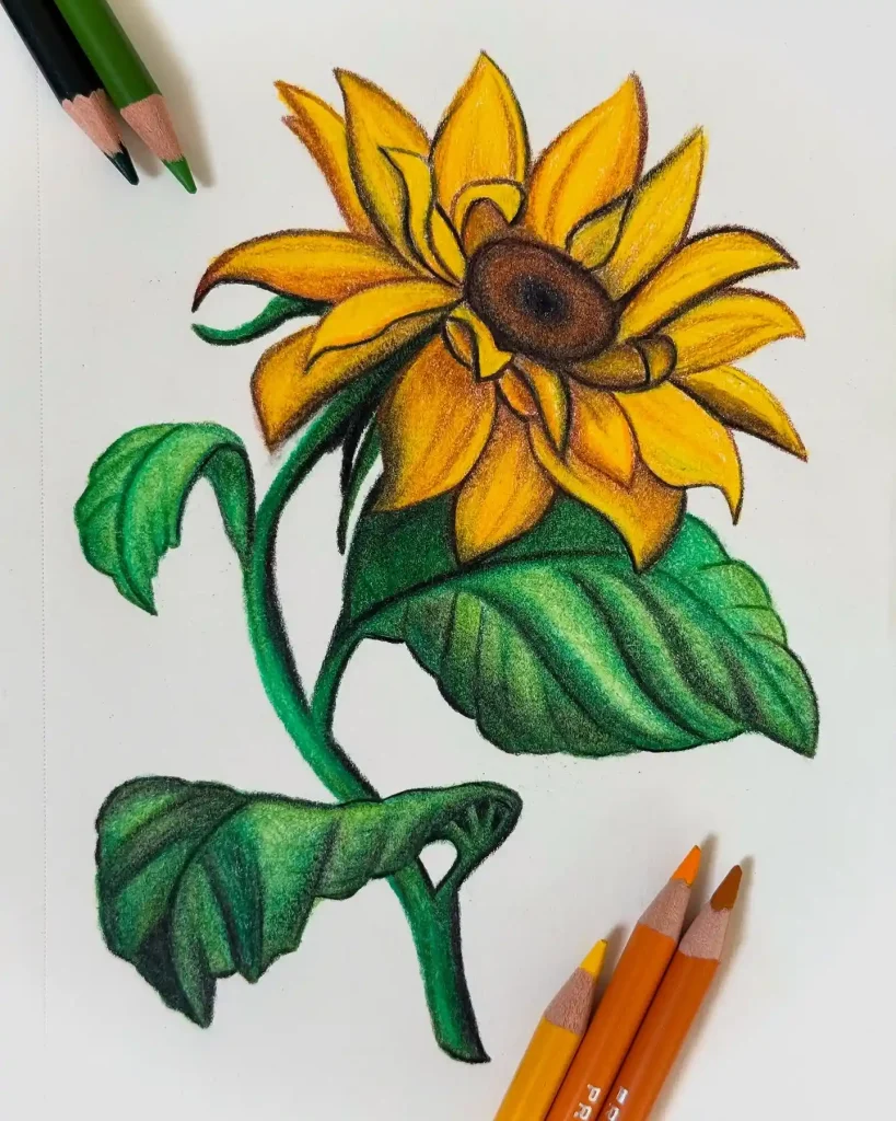 Flower Drawing Ideas