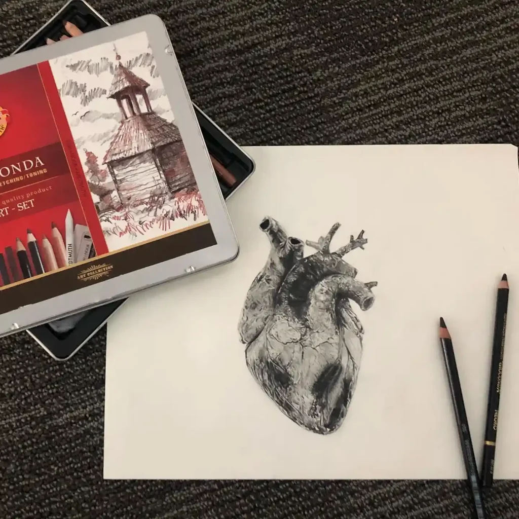 Human Heart Drawing