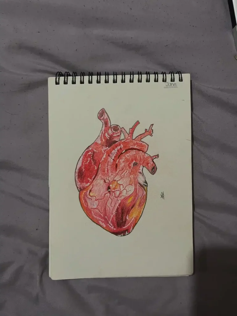 Human Heart Drawing