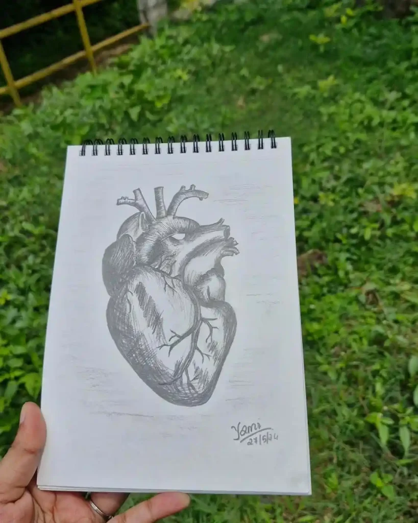Human Heart Drawing