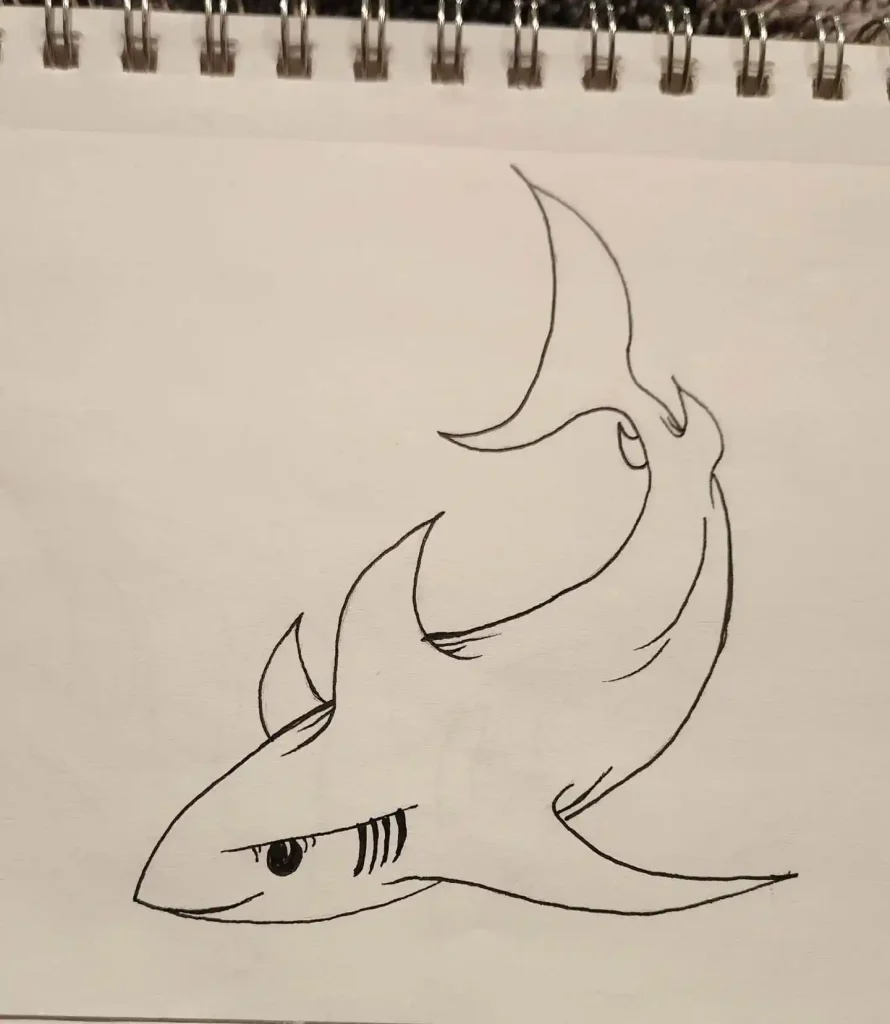 shark drawing