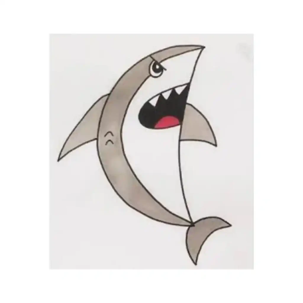 shark drawing