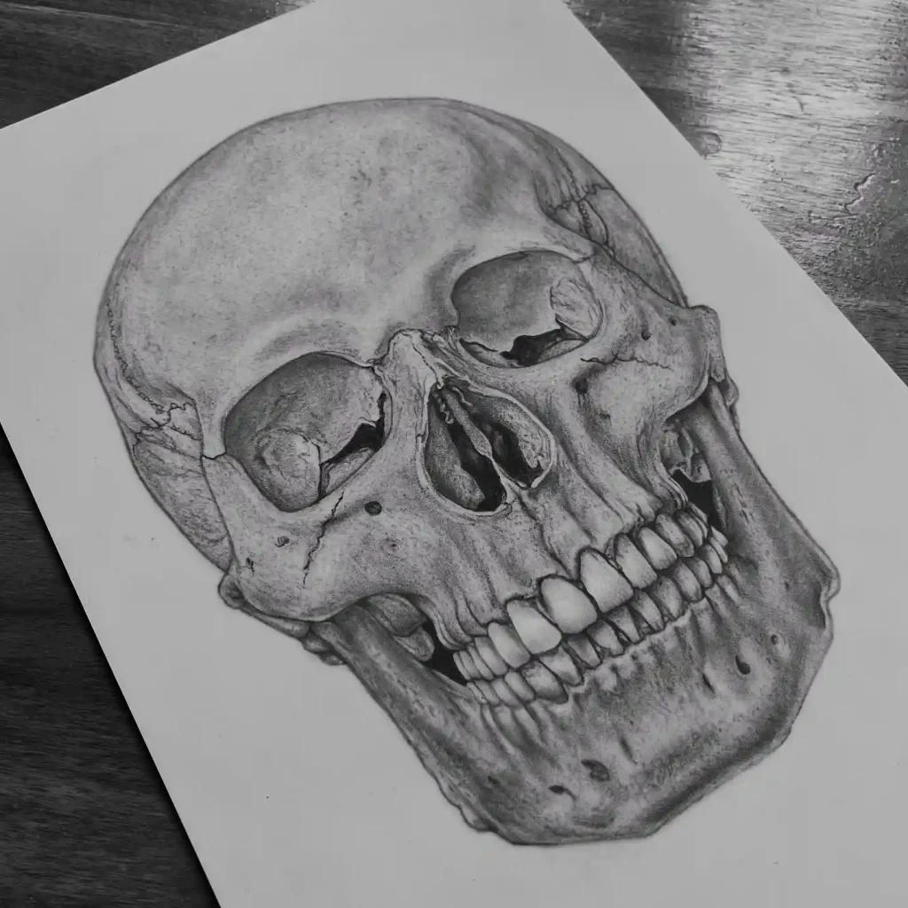 Skull Drawings