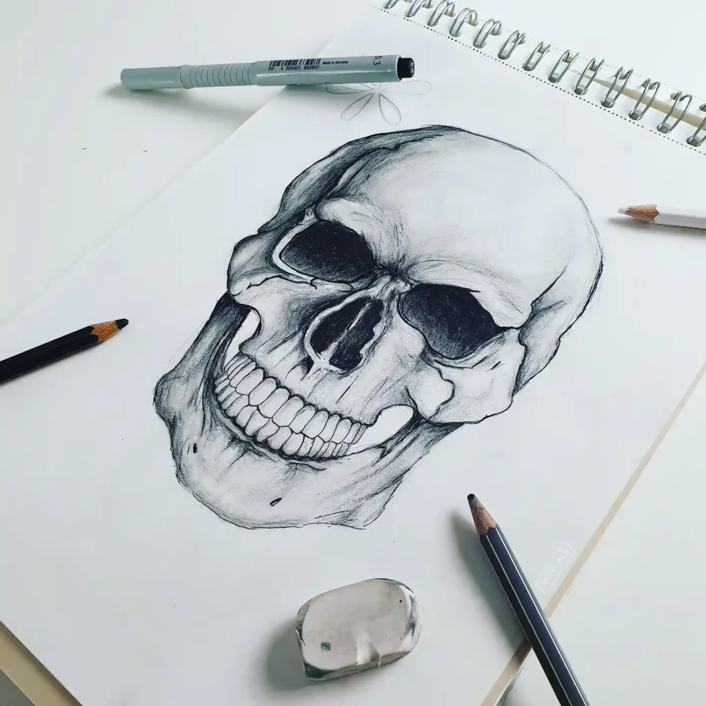 Skull Drawings