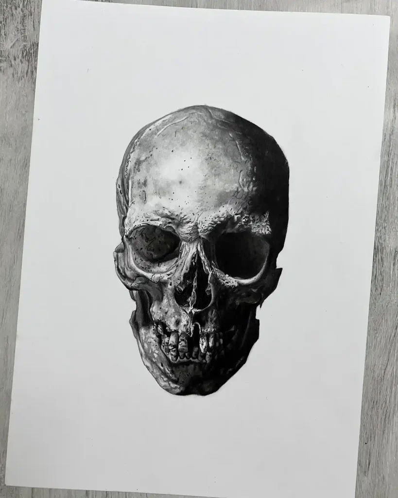 Skull Drawings