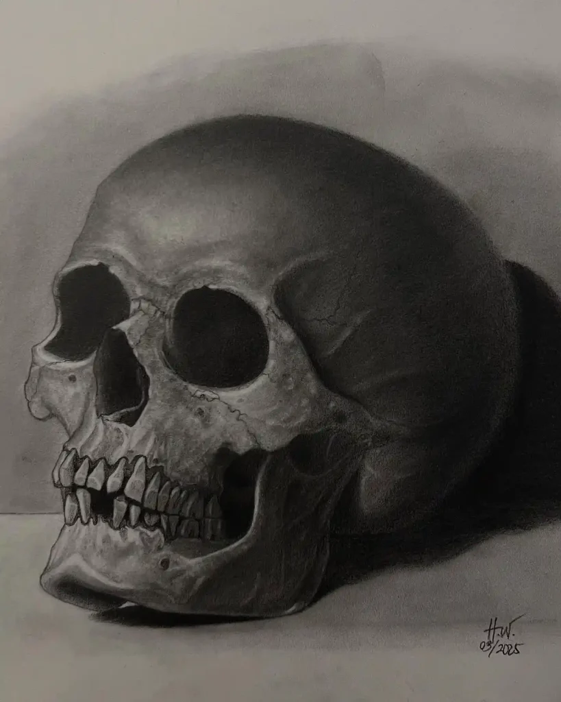 Skull Drawings