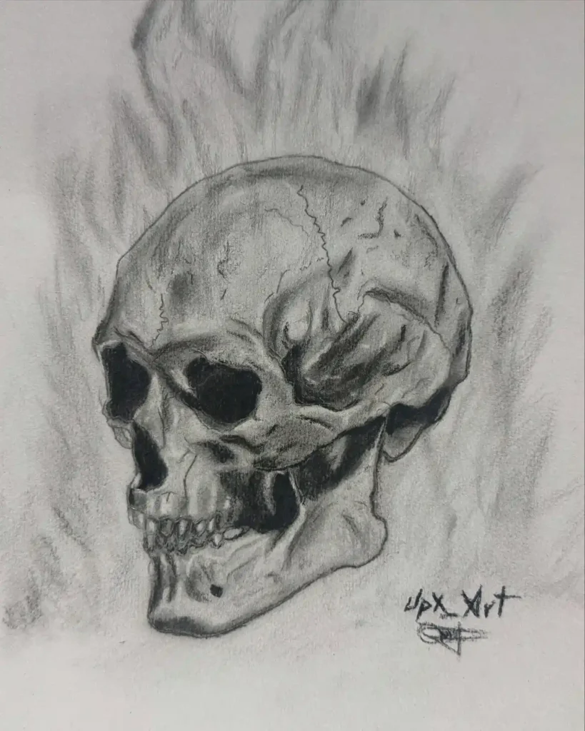 Skull Drawings