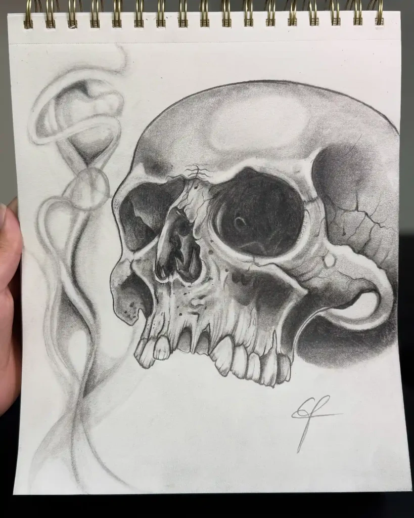 Skull Drawings