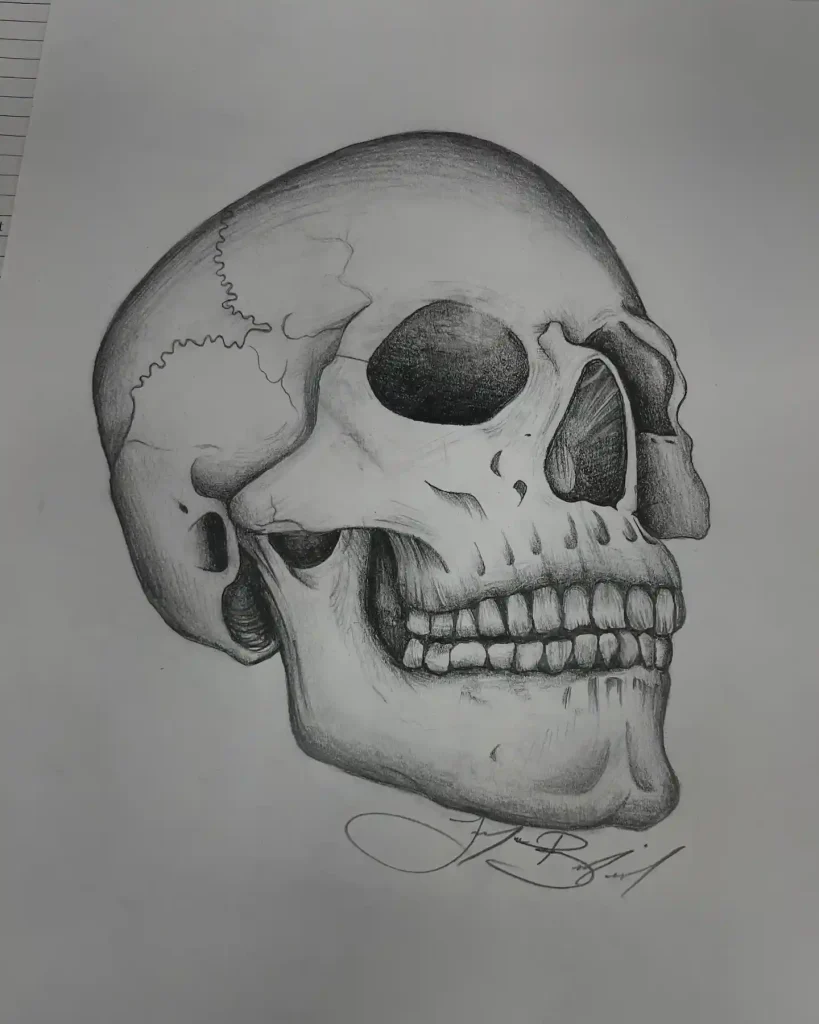 Skull Drawings