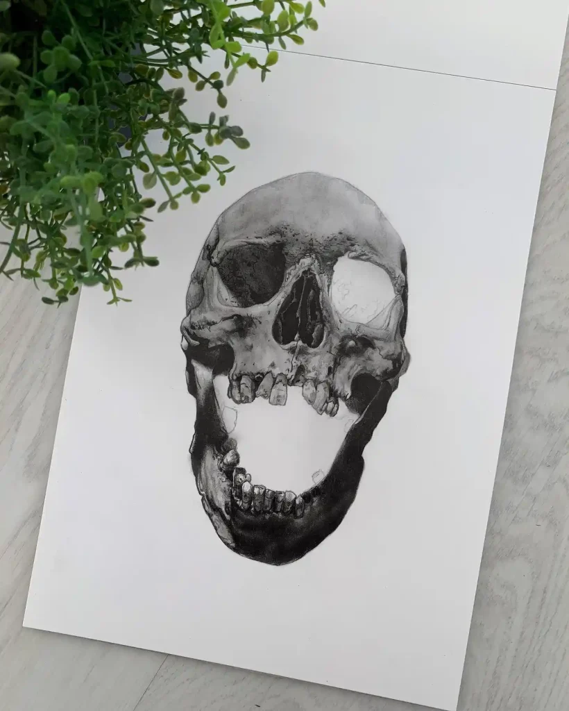 Skull Drawings
